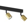 TOP black-gold VI 1022 TK Lighting