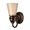 MAYFLOWER old bronze HK-MAYFLOWER1 Hinkley Lighting