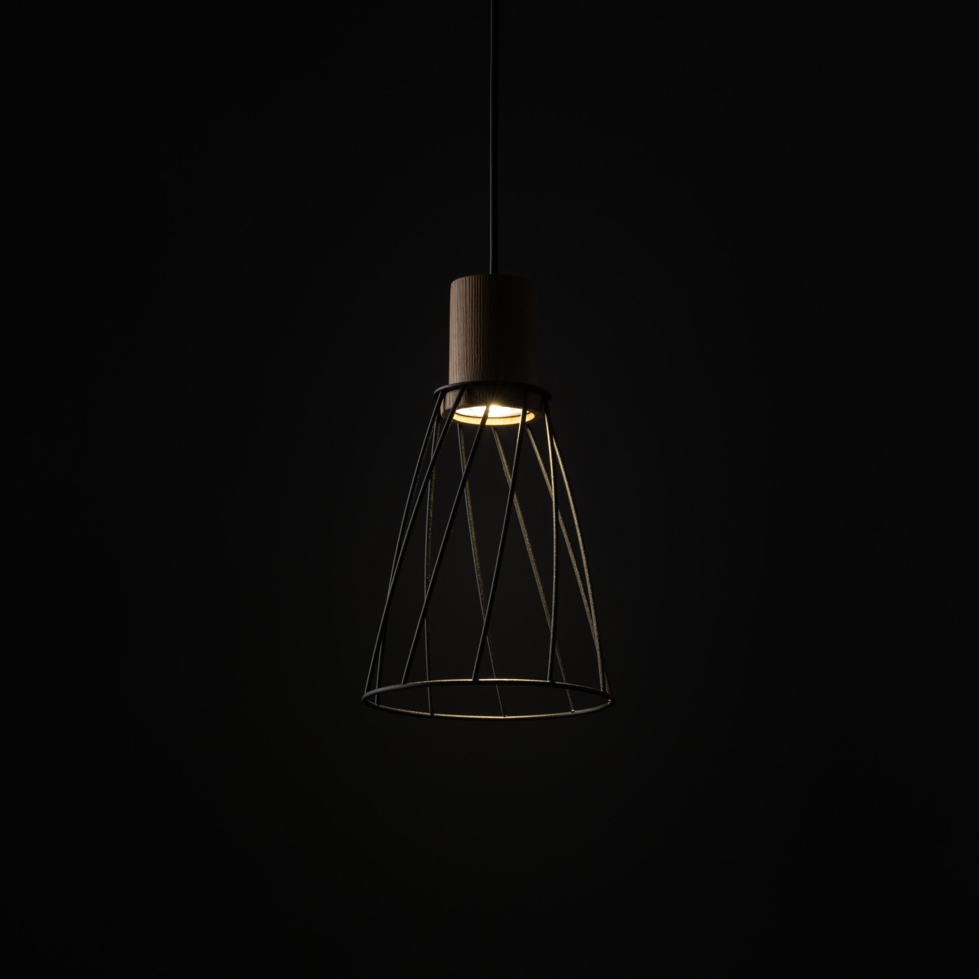 MODESTO wood 10155 TK Lighting